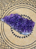 Medium Amethyst Druse