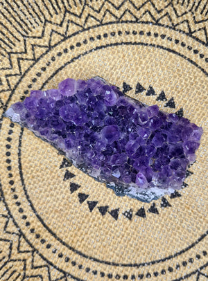 Medium Amethyst Druse