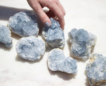 Celestite Geode