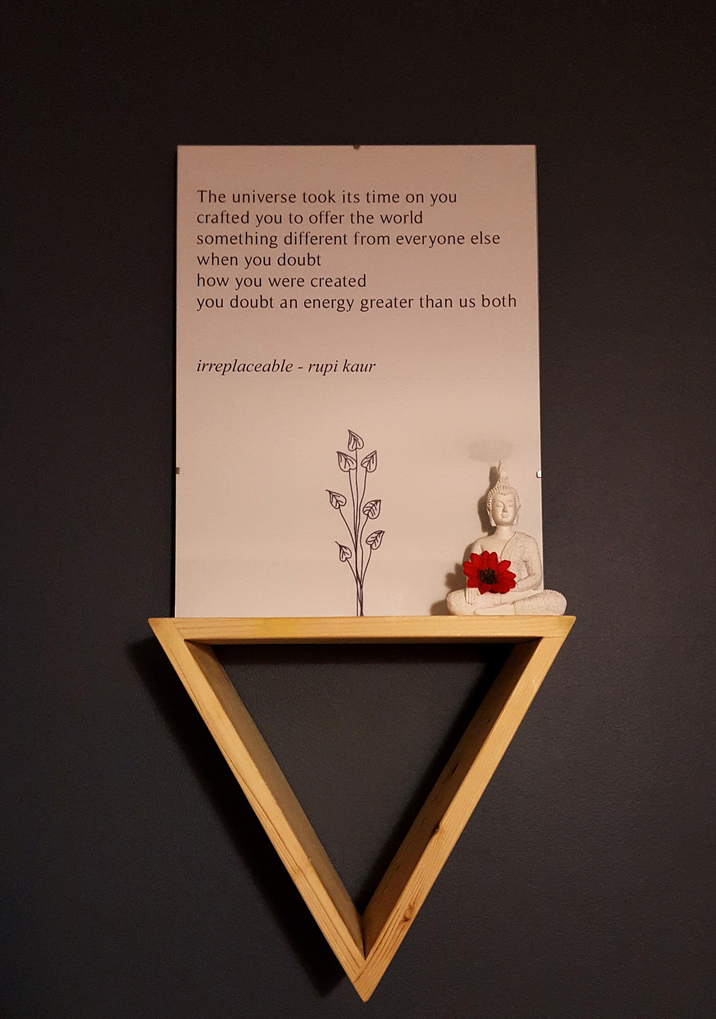 Irreplaceable - Shelf Frame